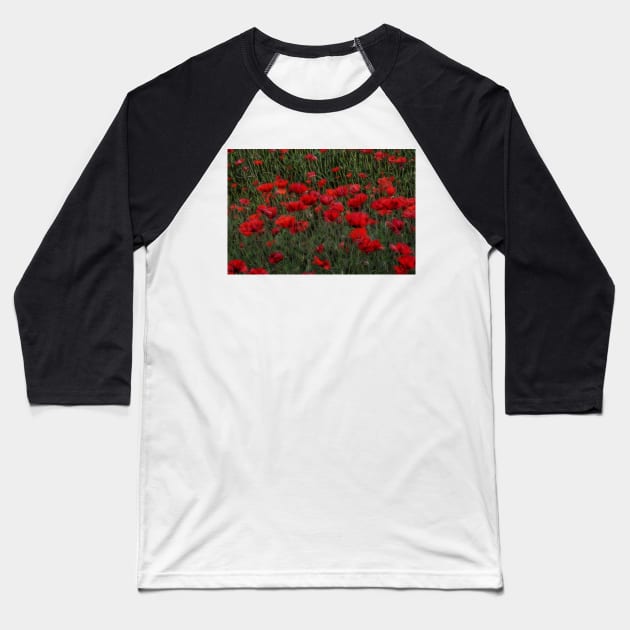 bright red glowing poppy in a field of wild uncultivated flowers Baseball T-Shirt by mister-john